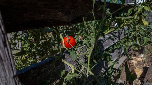 18180 Us 160, Alton, MO 65606