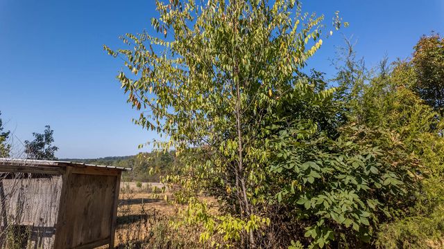 18180 Us 160, Alton, MO 65606