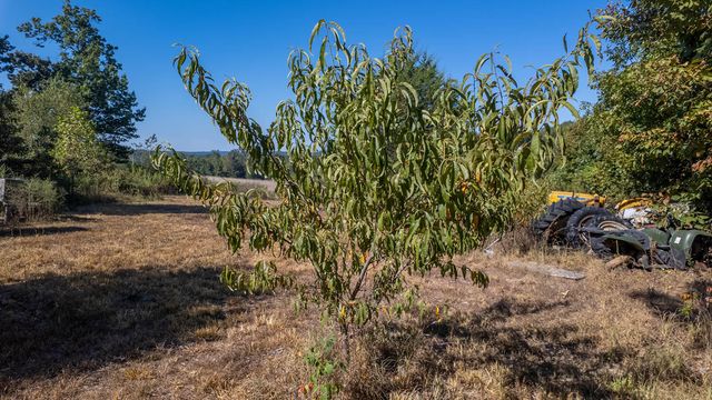 18180 Us 160, Alton, MO 65606