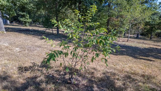 18180 Us 160, Alton, MO 65606