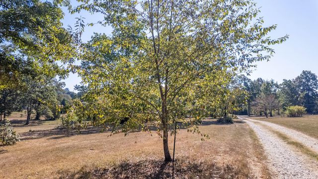 18180 Us 160, Alton, MO 65606