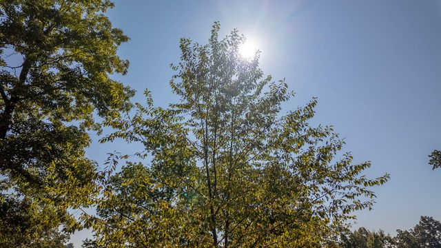 18180 Us 160, Alton, MO 65606