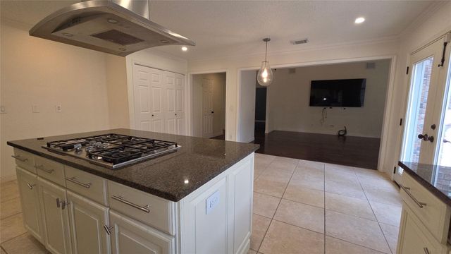 54 Thorn Berry Place, Spring, TX 77381