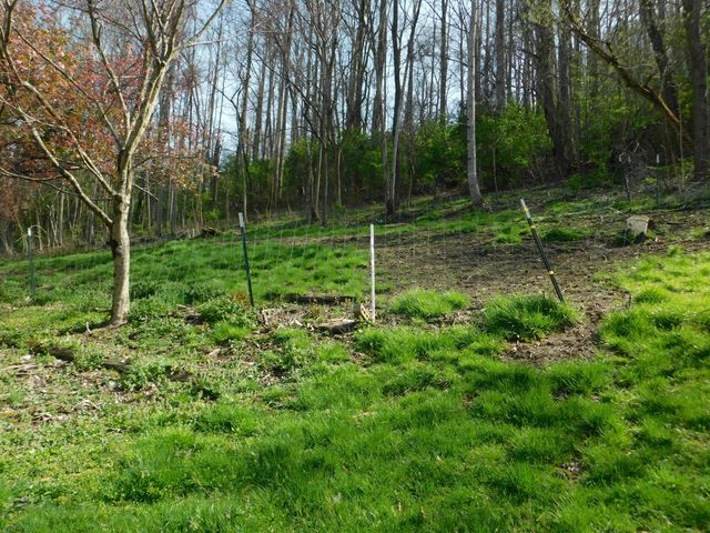 116 Wolf Hollow Road, Baxter, KY 40806