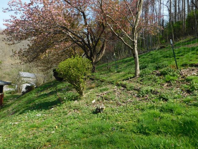 116 Wolf Hollow Road, Baxter, KY 40806