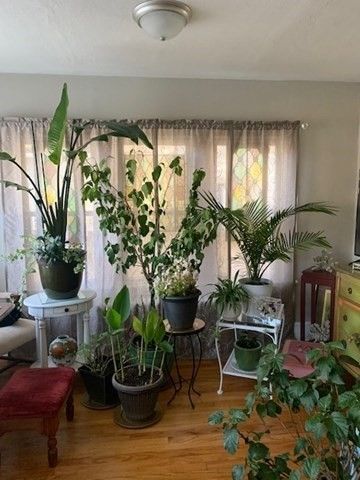 145 Main Street, Westfield, MA 01085