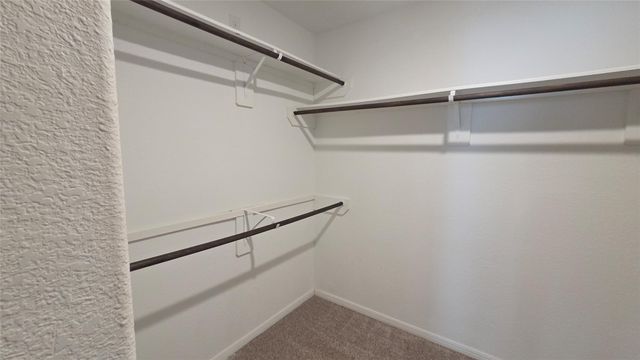 8023 Ecru Lane, Rosharon, TX 77583