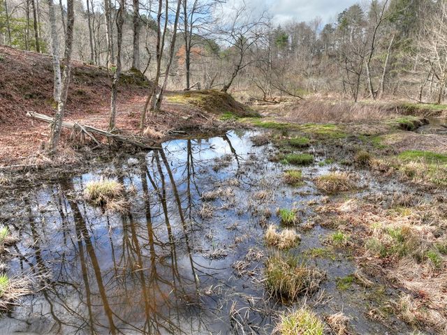 4081 Whitepath Road, Cherry Log, GA 30522