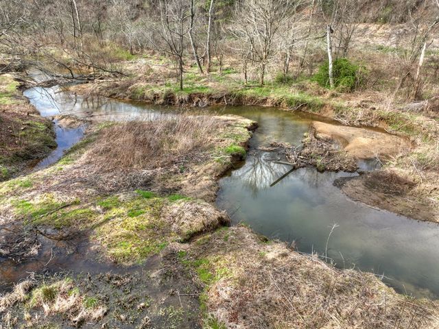 4081 Whitepath Road, Cherry Log, GA 30522