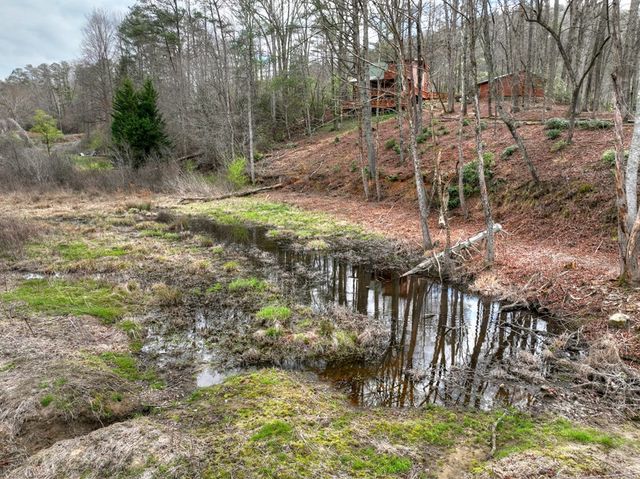 4081 Whitepath Road, Cherry Log, GA 30522