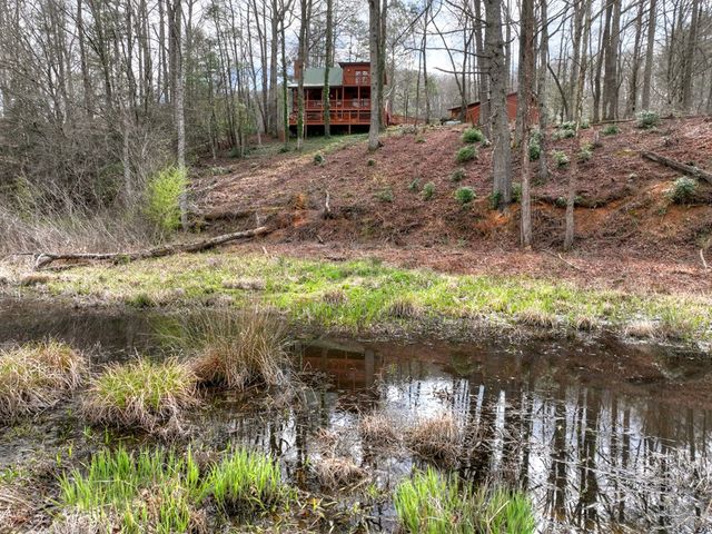 4081 Whitepath Road, Cherry Log, GA 30522