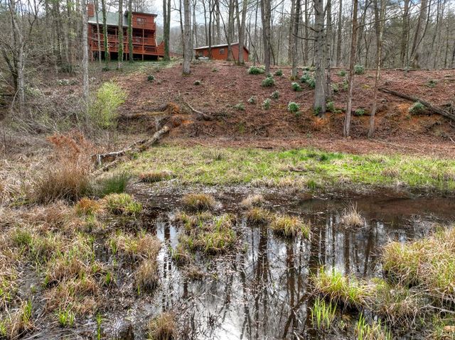 4081 Whitepath Road, Cherry Log, GA 30522