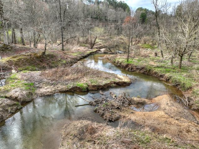 4081 Whitepath Road, Cherry Log, GA 30522