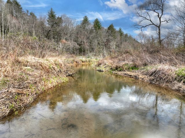 4081 Whitepath Road, Cherry Log, GA 30522