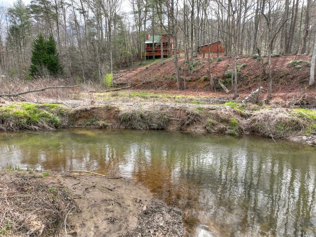 4081 Whitepath Road, Cherry Log, GA 30522