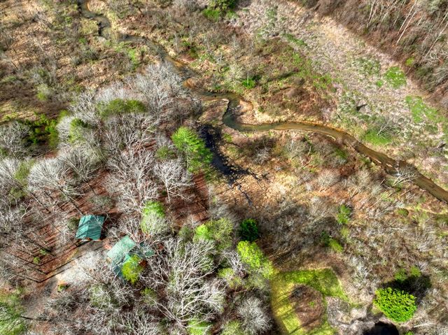 4081 Whitepath Road, Cherry Log, GA 30522