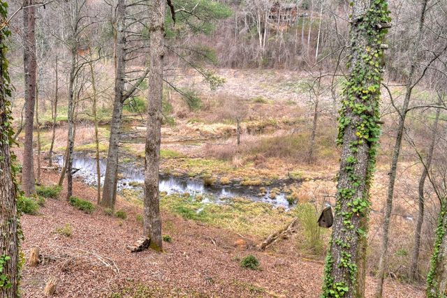 4081 Whitepath Road, Cherry Log, GA 30522