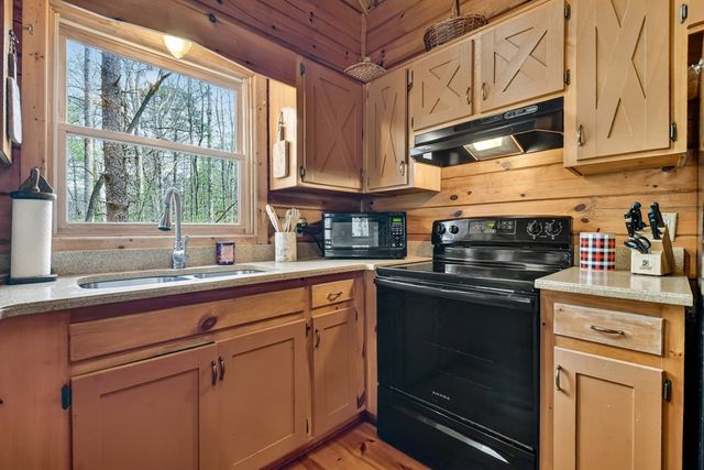 4081 Whitepath Road, Cherry Log, GA 30522