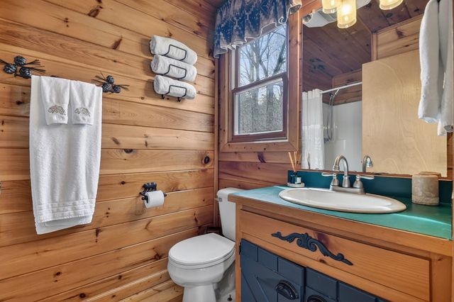 4081 Whitepath Road, Cherry Log, GA 30522