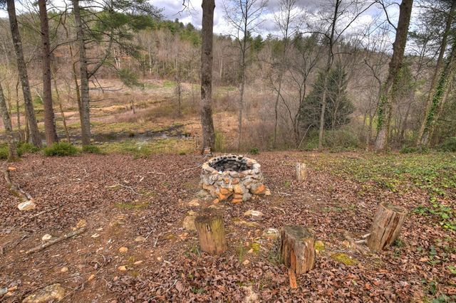 4081 Whitepath Road, Cherry Log, GA 30522