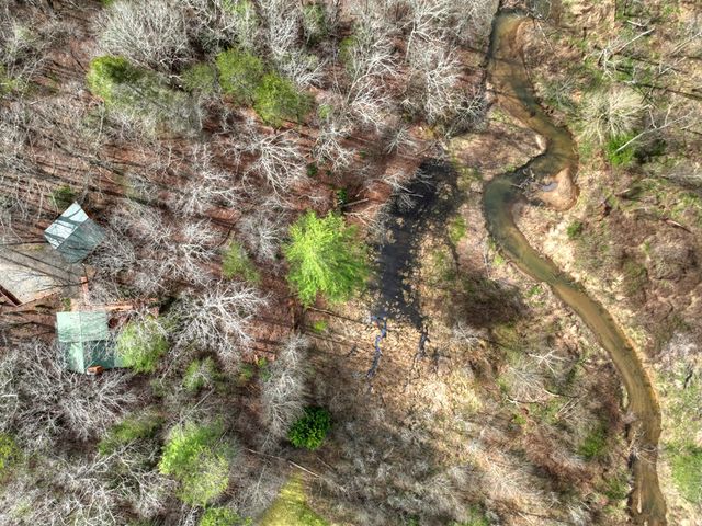 4081 Whitepath Road, Cherry Log, GA 30522