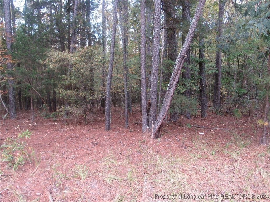 914 Taylors Chapel Road, Sanford, NC 27330