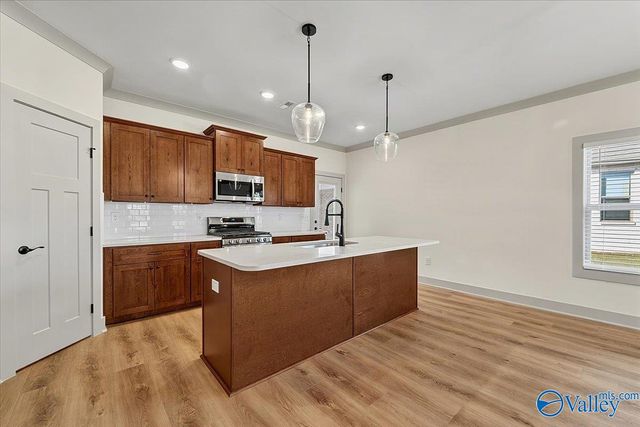 214 SW Esplanade Court, Huntsville, AL 35824