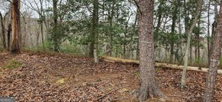 361 Vista Dell Lane, Tallulah Falls, GA 30573