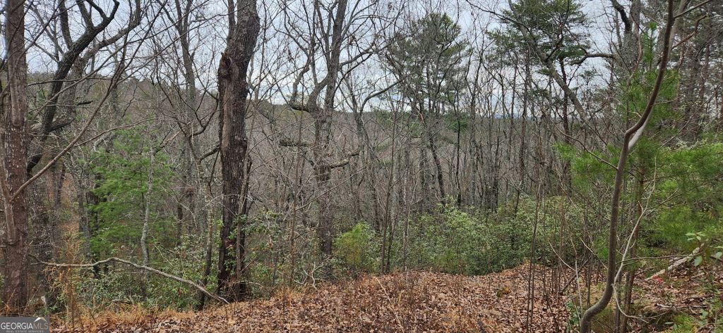 361 Vista Dell Lane, Tallulah Falls, GA 30573 — photo 2