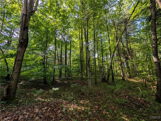 0 Indian River, Theresa, NY 13691