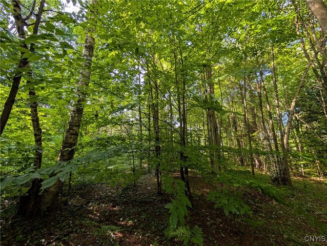 0 Indian River, Theresa, NY 13691