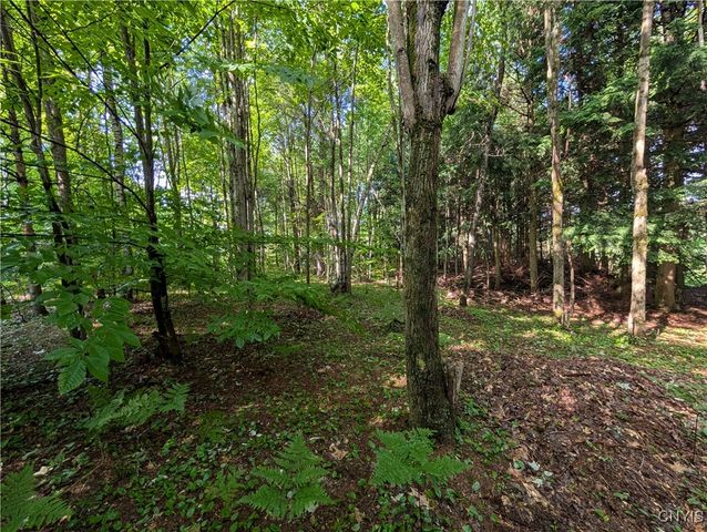 0 Indian River, Theresa, NY 13691