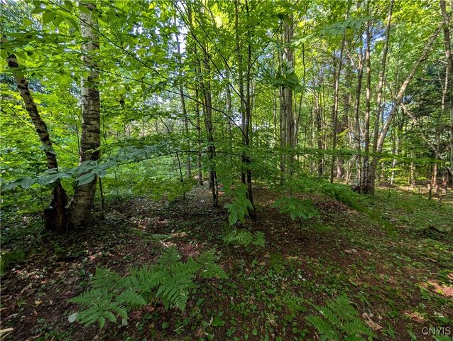 0 Indian River, Theresa, NY 13691