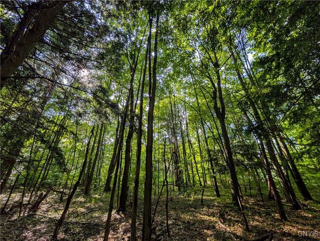 0 Indian River, Theresa, NY 13691