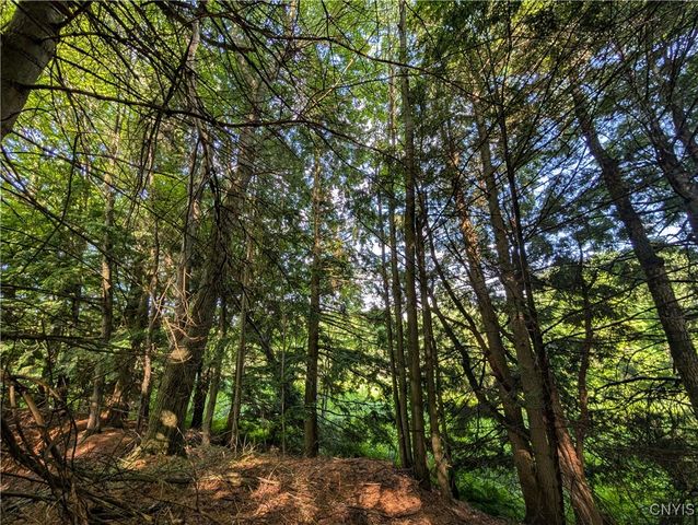 0 Indian River, Theresa, NY 13691