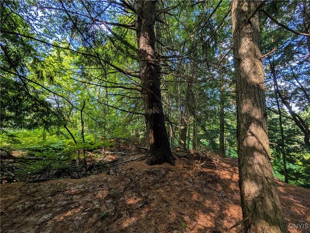 0 Indian River, Theresa, NY 13691