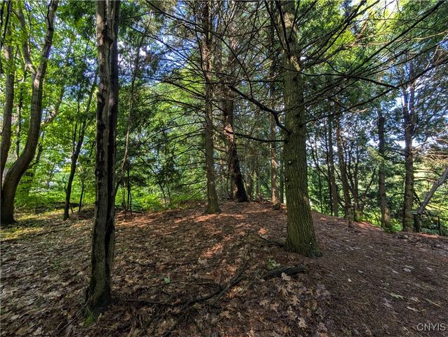 0 Indian River, Theresa, NY 13691