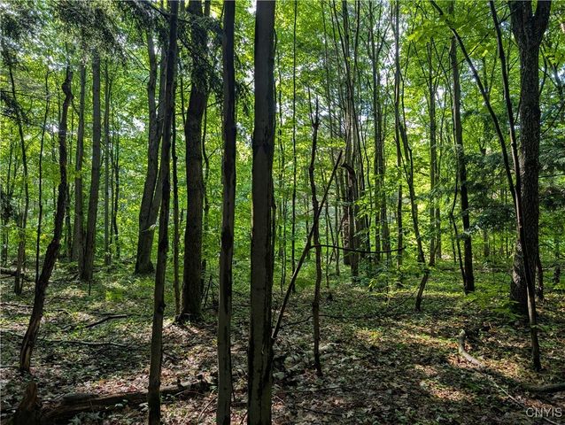 0 Indian River, Theresa, NY 13691