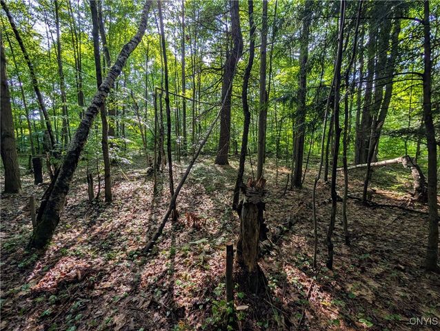 0 Indian River, Theresa, NY 13691