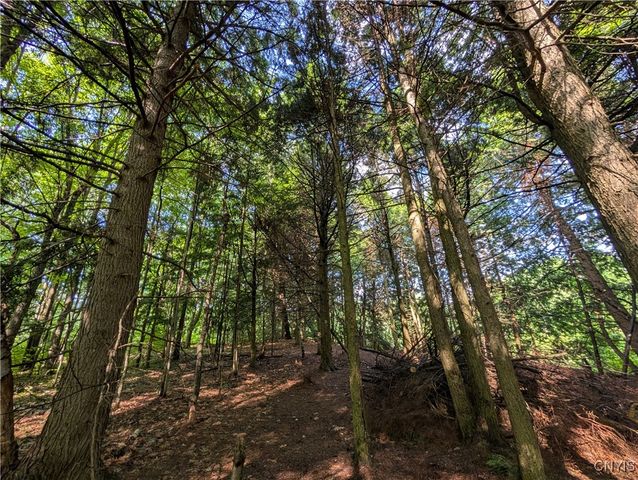 0 Indian River, Theresa, NY 13691