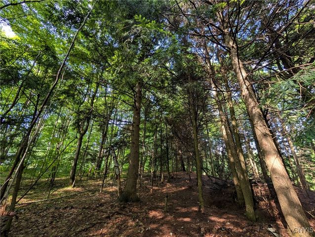 0 Indian River, Theresa, NY 13691