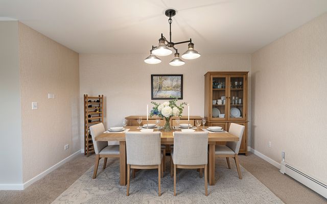 1321 S Finley Road 419, Lombard, IL 60148