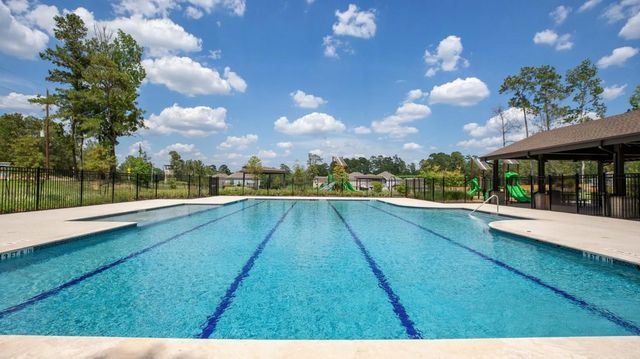 2432 Bull Trout Drive, Conroe, TX 77384