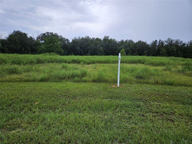 8801 VALERIE COURT, Zephyrhills, FL 33540