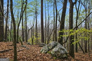 2335 Stonepile Road LOT 2, Clarkesville, GA 30523