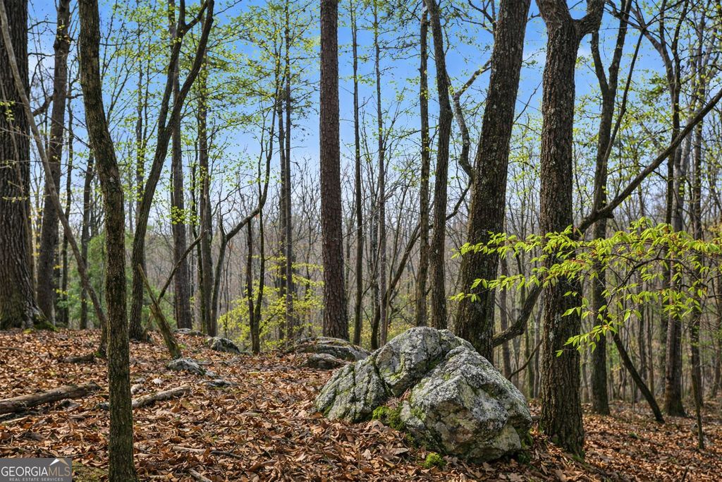 2335 Stonepile Road LOT 2, Clarkesville, GA 30523