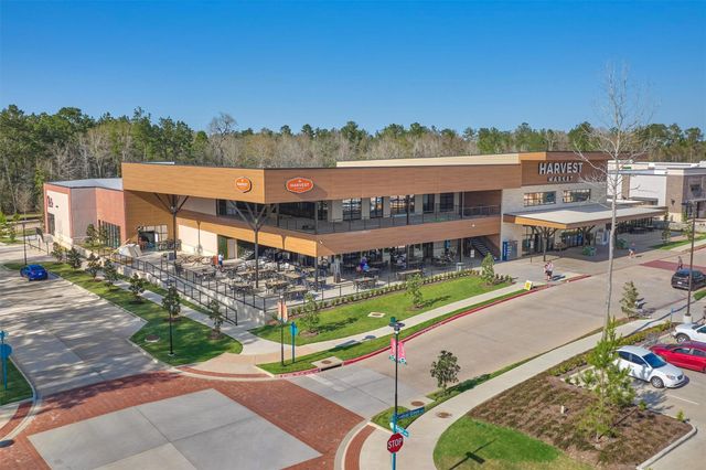 107 Sunridge Court, Montgomery, TX 77316