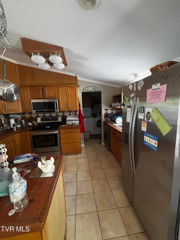 1011 Bertha Greer Street, Kingsport, TN 37665