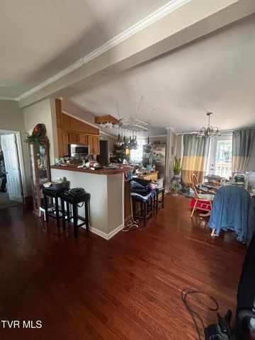 1011 Bertha Greer Street, Kingsport, TN 37665