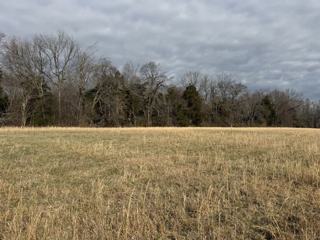 783 Mount Vernon Rd, Bethpage, TN 37022